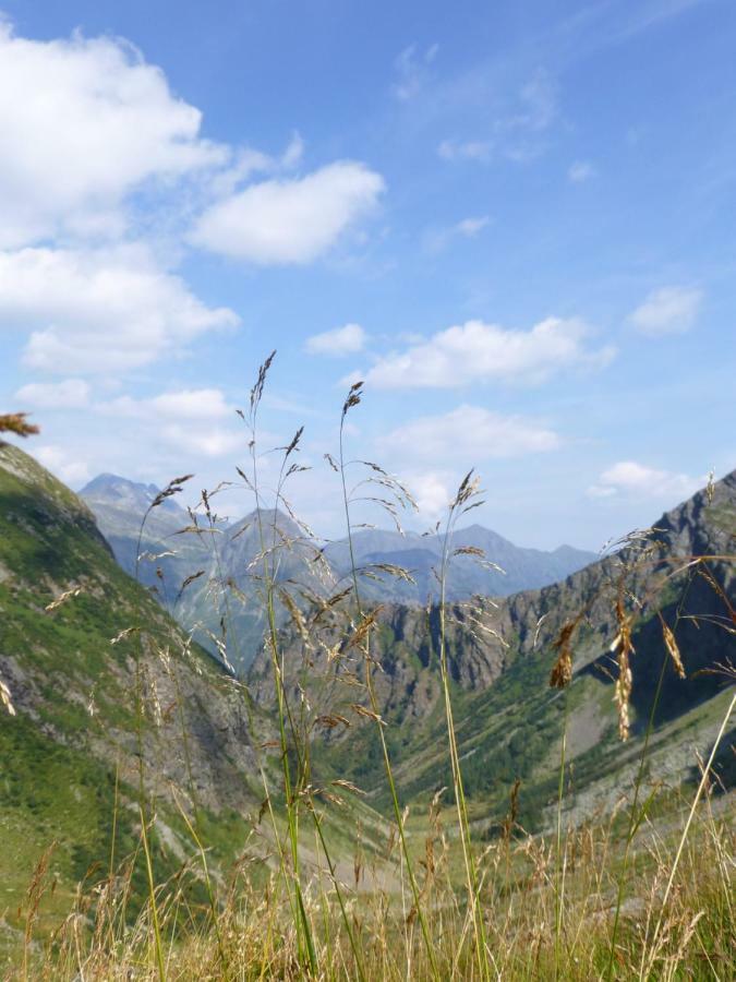 Ferienhaus Pichler Niederoblarn Bagian luar foto