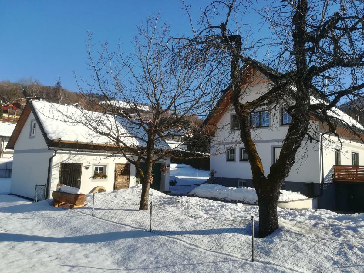 Ferienhaus Pichler Niederoblarn Bagian luar foto
